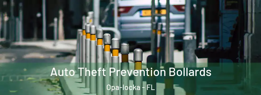 Auto Theft Prevention Bollards Opa-locka - FL