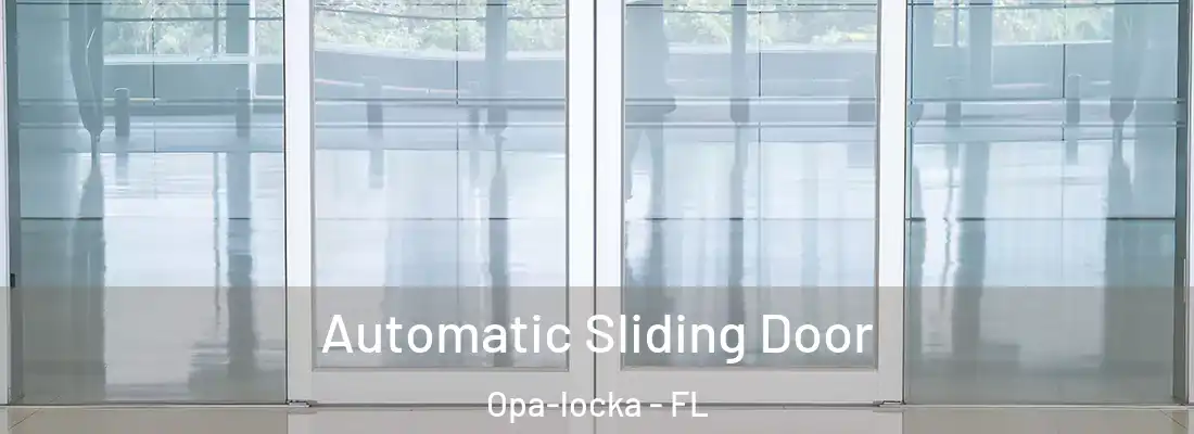 Automatic Sliding Door Opa-locka - FL