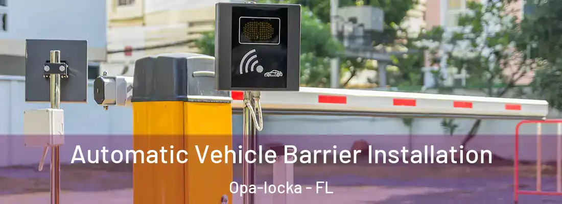 Automatic Vehicle Barrier Installation Opa-locka - FL