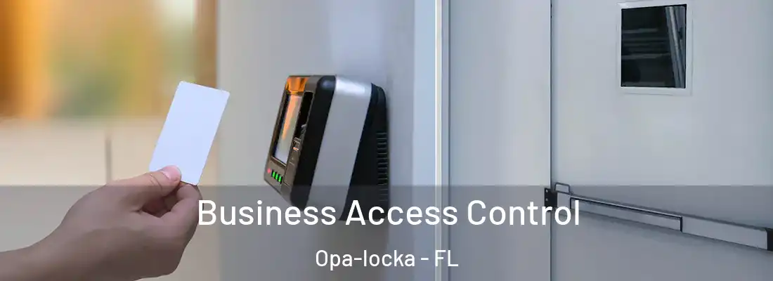 Business Access Control Opa-locka - FL