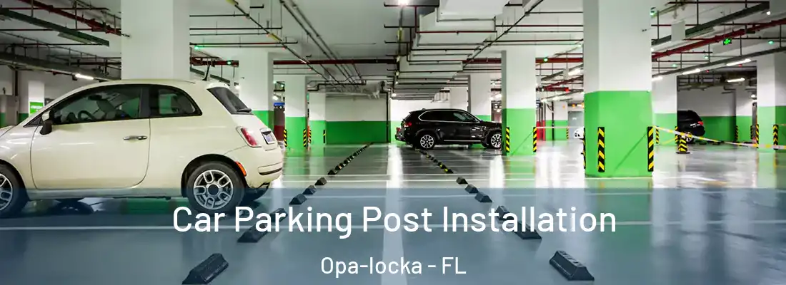 Car Parking Post Installation Opa-locka - FL