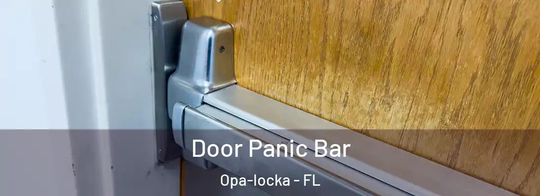 Door Panic Bar Opa-locka - FL