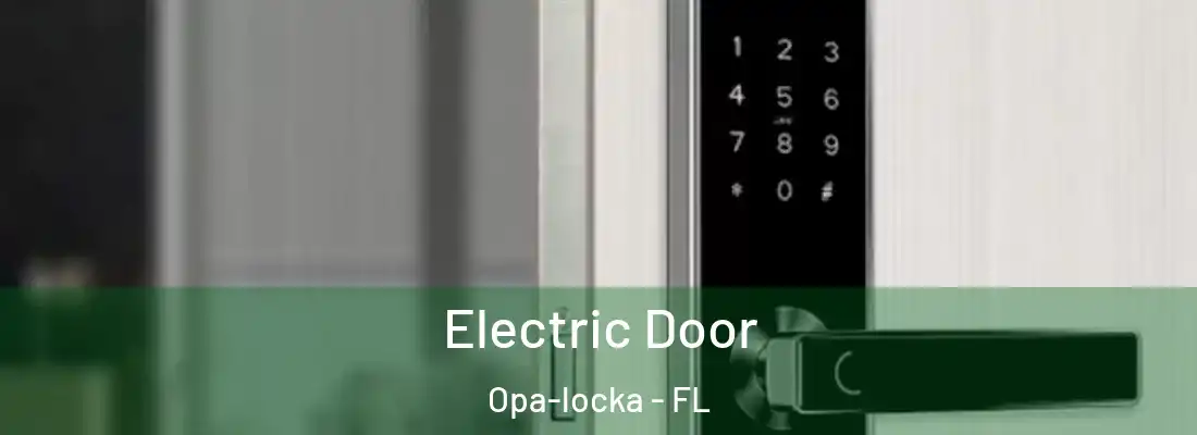 Electric Door Opa-locka - FL