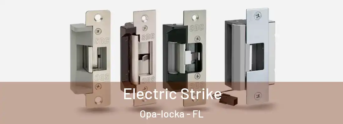 Electric Strike Opa-locka - FL