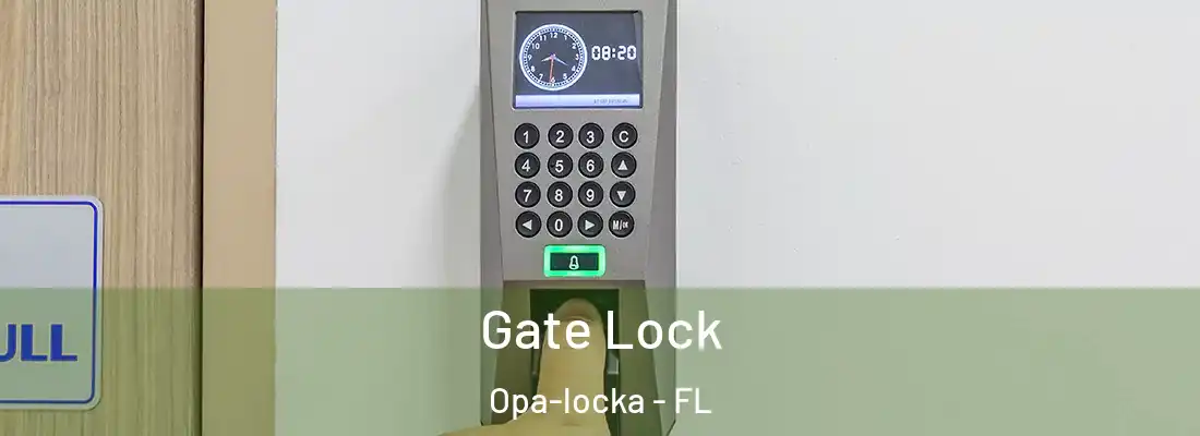 Gate Lock Opa-locka - FL