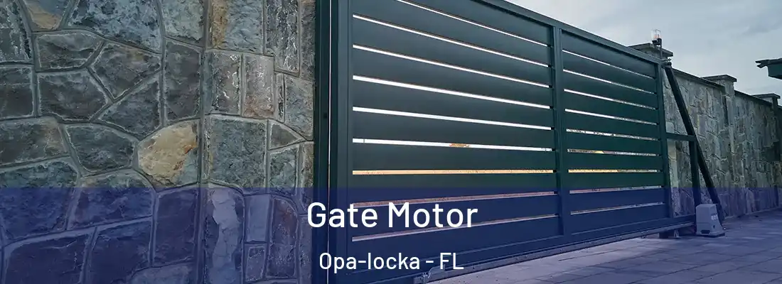 Gate Motor Opa-locka - FL