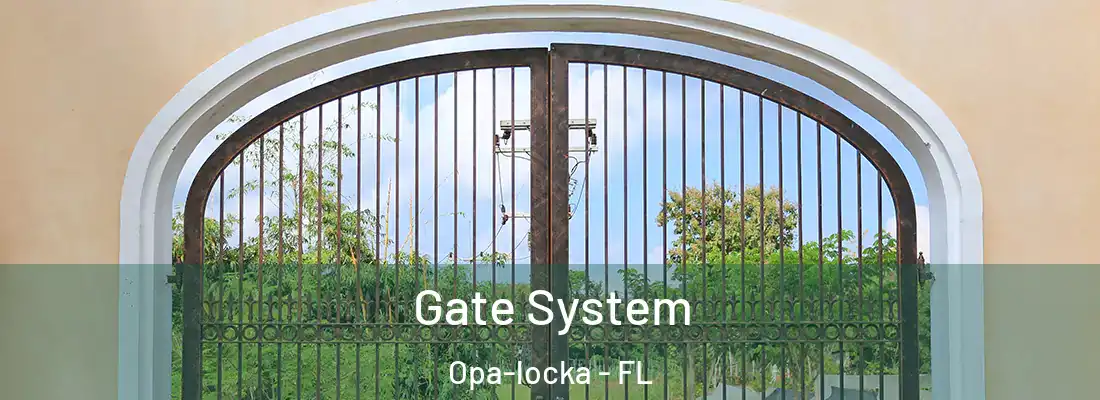 Gate System Opa-locka - FL