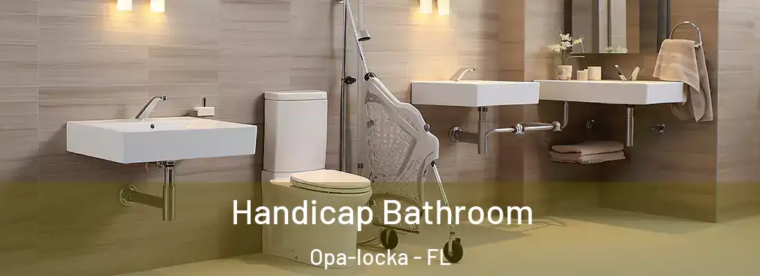 Handicap Bathroom Opa-locka - FL