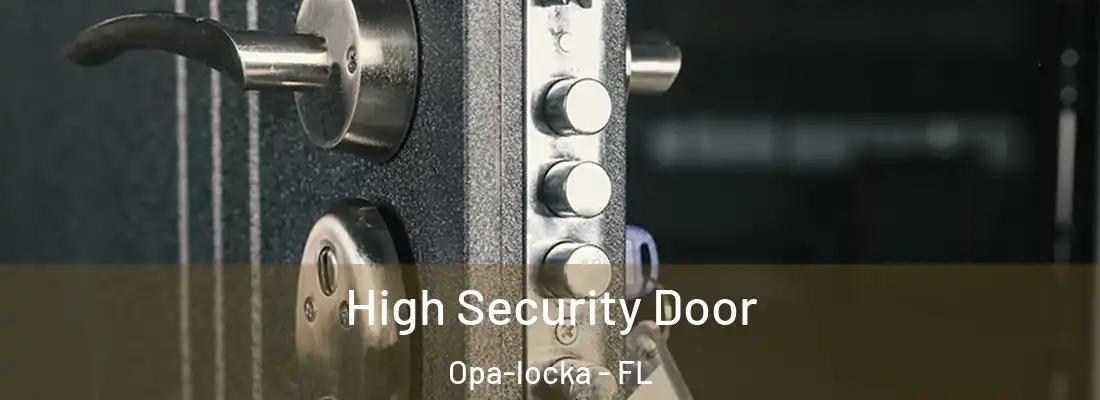 High Security Door Opa-locka - FL
