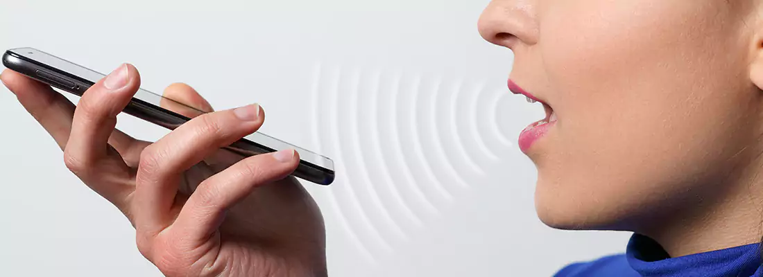 Residential and Commercial Voice Recognition Access Solutions in Opa-locka, FL