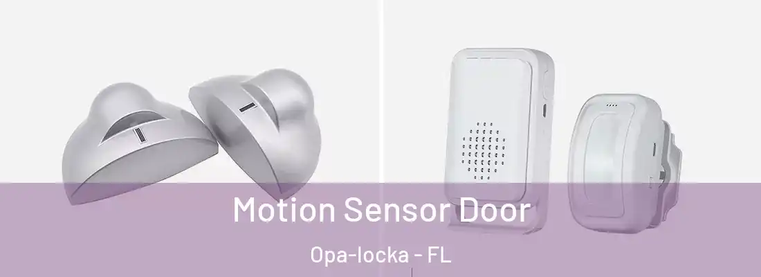 Motion Sensor Door Opa-locka - FL