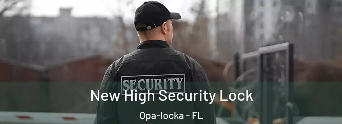 New High Security Lock Opa-locka - FL