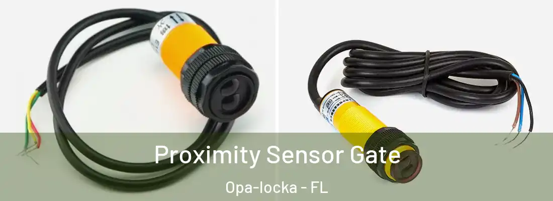 Proximity Sensor Gate Opa-locka - FL