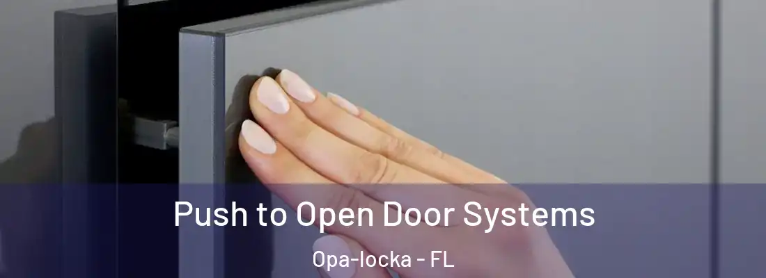 Push to Open Door Systems Opa-locka - FL