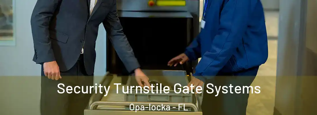 Security Turnstile Gate Systems Opa-locka - FL