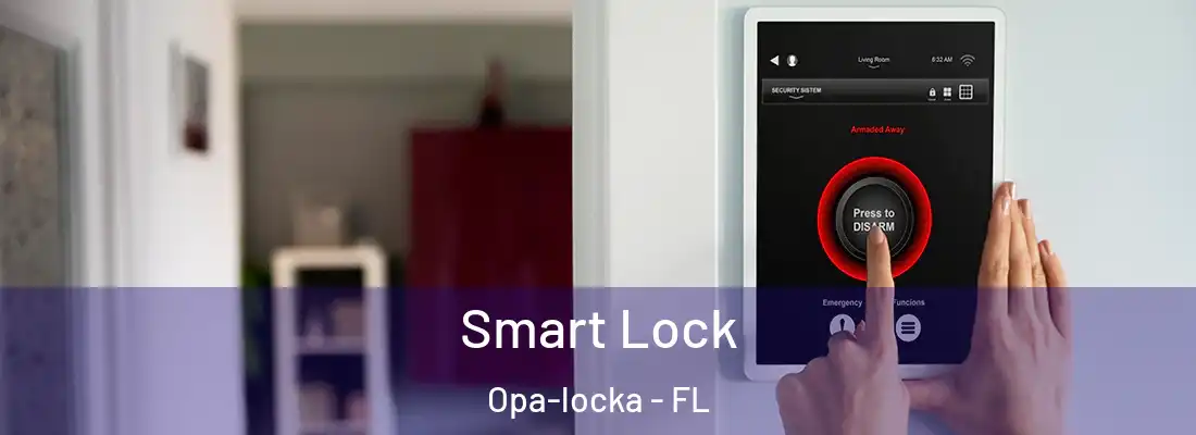 Smart Lock Opa-locka - FL