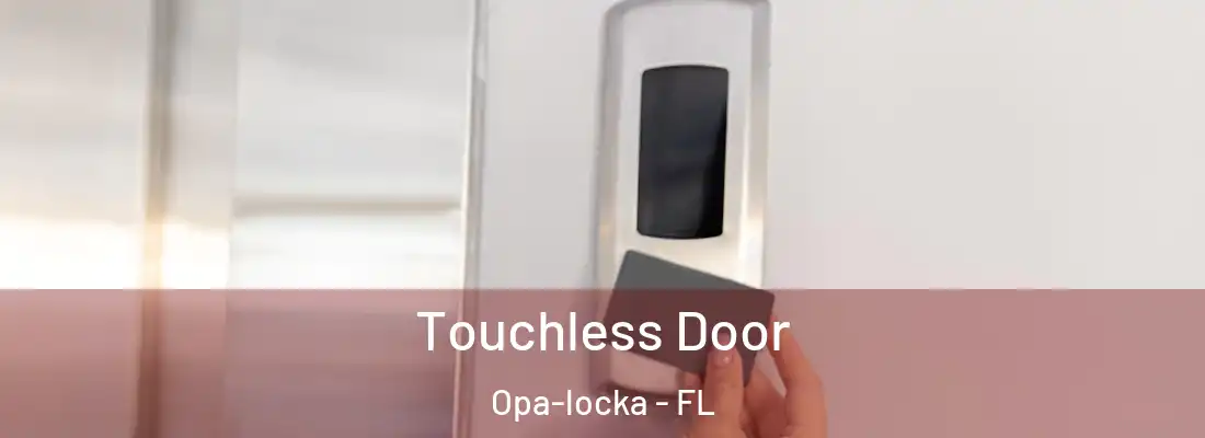 Touchless Door Opa-locka - FL