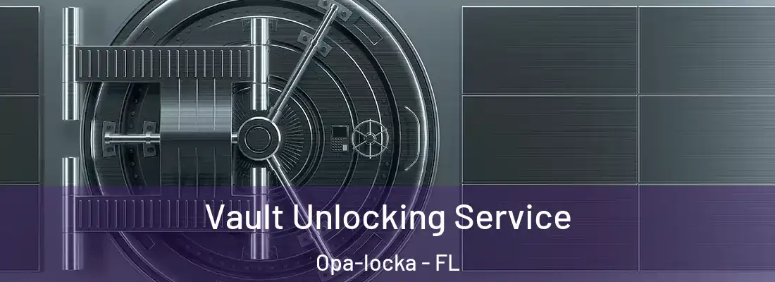 Vault Unlocking Service Opa-locka - FL